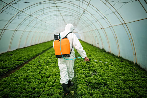 Best Affordable Pest Control Services  in Miller, SD