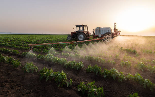 Best Ant Control Services  in Miller, SD