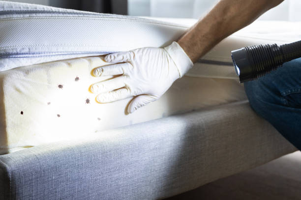 Reliable Miller, SD Pest Control Solutions