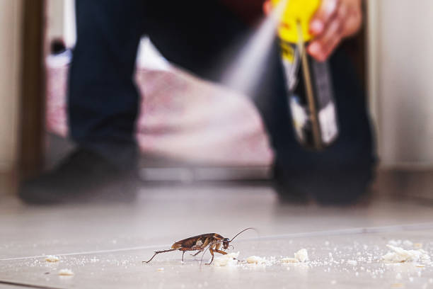 Best Local Pest Control Services  in Miller, SD